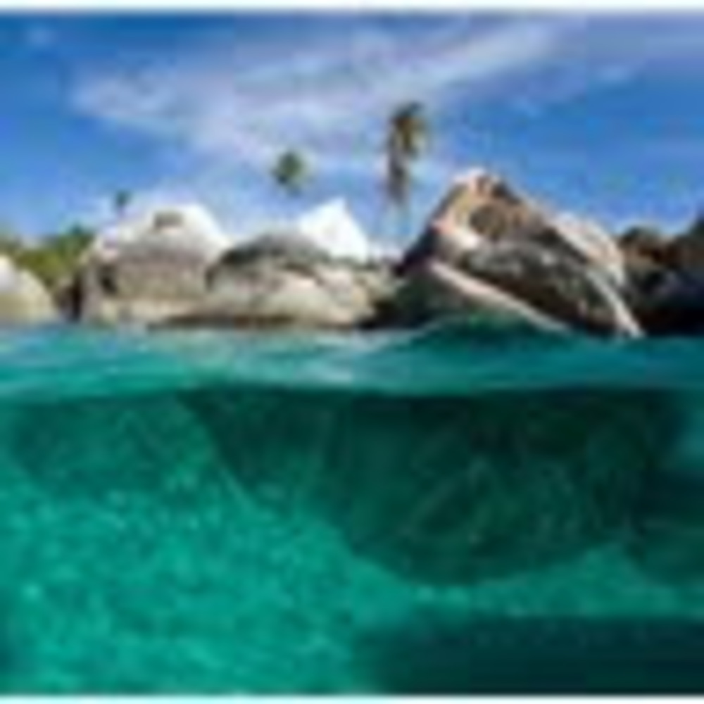 Meet your Posher, Jessy